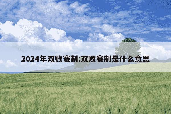 2024年双败赛制:双败赛制是什么意思