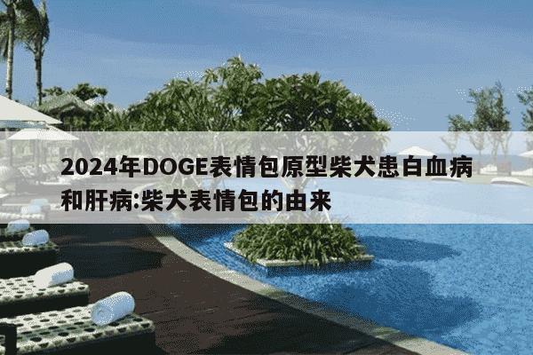 2024年DOGE表情包原型柴犬患白血病和肝病:柴犬表情包的由来