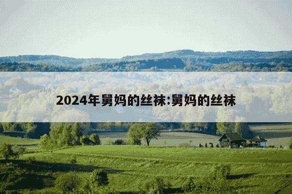 2024年舅妈的丝袜:舅妈的丝袜