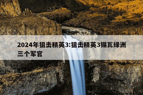 2024年狙击精英3:狙击精英3锡瓦绿洲三个军官