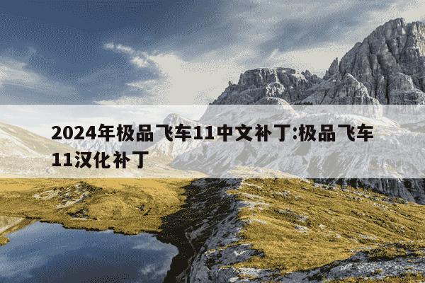 2024年极品飞车11中文补丁:极品飞车11汉化补丁