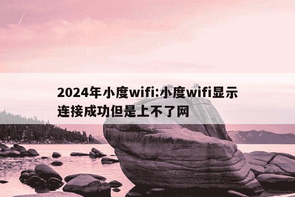 2024年小度wifi:小度wifi显示连接成功但是上不了网