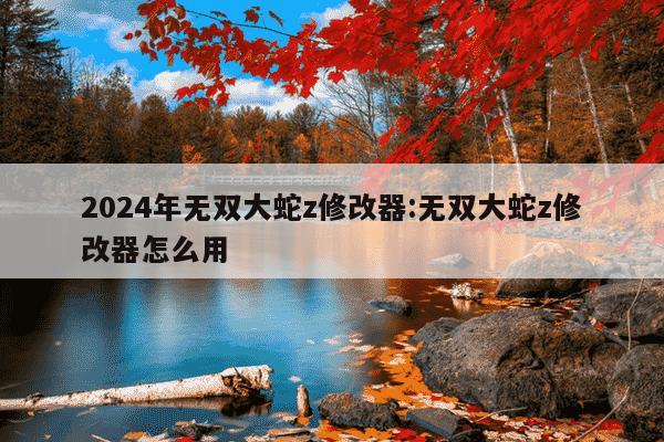 2024年无双大蛇z修改器:无双大蛇z修改器怎么用