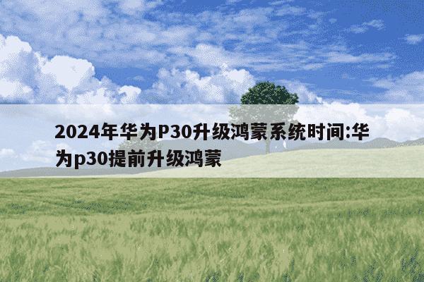 2024年华为P30升级鸿蒙系统时间:华为p30提前升级鸿蒙