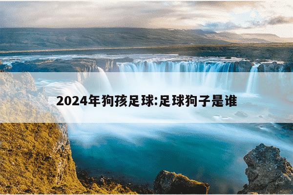 2024年狗孩足球:足球狗子是谁