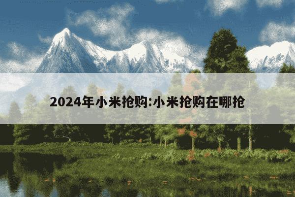 2024年小米抢购:小米抢购在哪抢