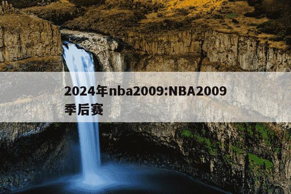 2024年nba2009:NBA2009季后赛