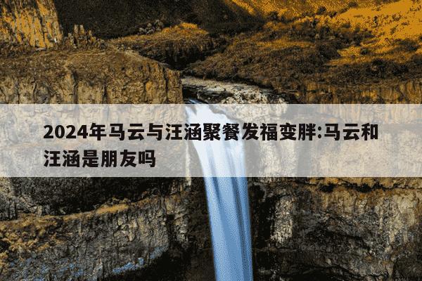 2024年马云与汪涵聚餐发福变胖:马云和汪涵是朋友吗