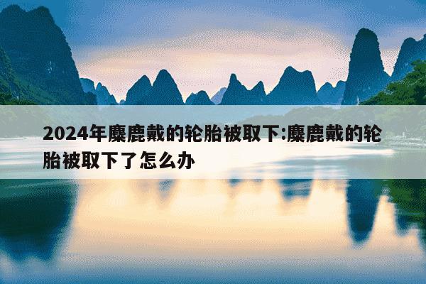 2024年麋鹿戴的轮胎被取下:麋鹿戴的轮胎被取下了怎么办