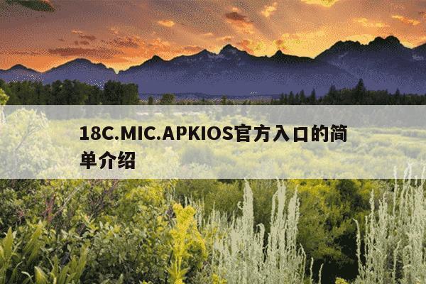 18C.MIC.APKIOS官方入口的简单介绍