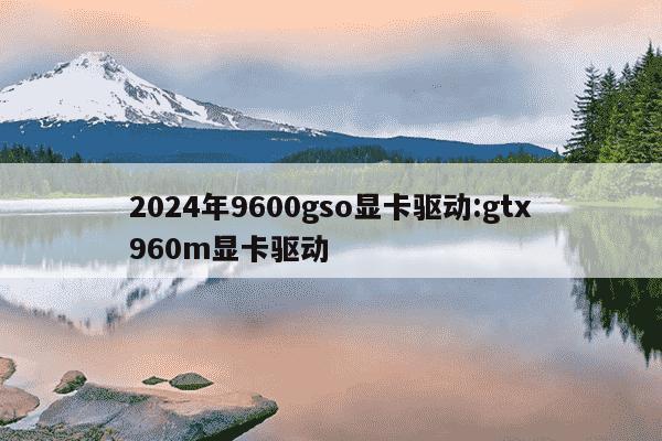 2024年9600gso显卡驱动:gtx960m显卡驱动