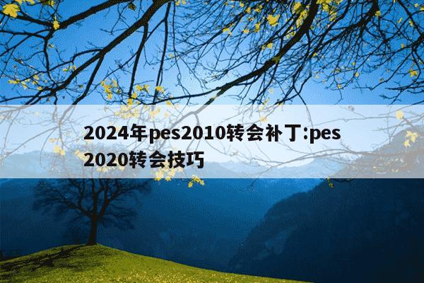 2024年pes2010转会补丁:pes2020转会技巧