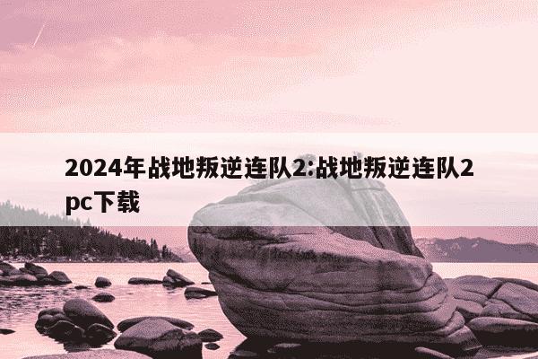 2024年战地叛逆连队2:战地叛逆连队2pc下载