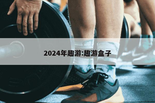 2024年趣游:趣游盒子