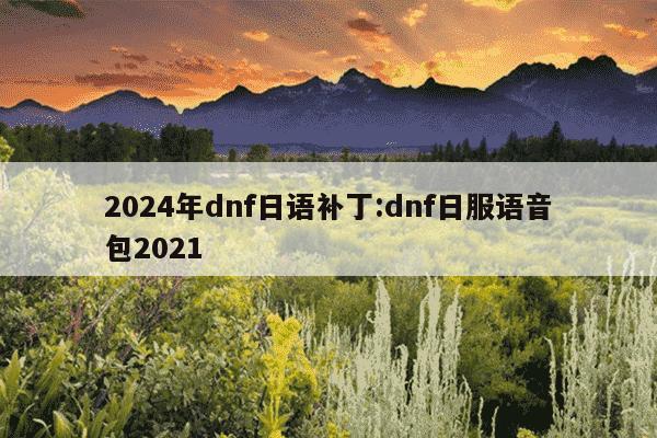 2024年dnf日语补丁:dnf日服语音包2021