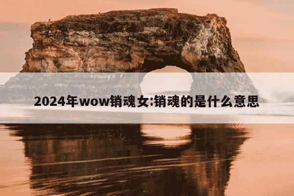 2024年wow销魂女:销魂的是什么意思