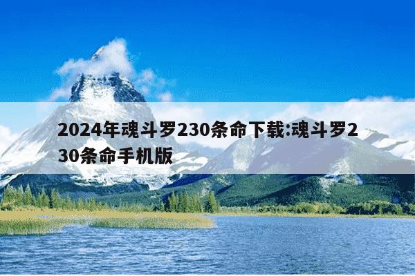 2024年魂斗罗230条命下载:魂斗罗230条命手机版