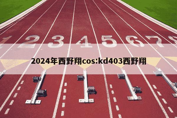 2024年西野翔cos:kd403西野翔