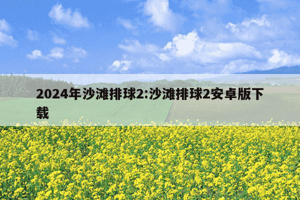 2024年沙滩排球2:沙滩排球2安卓版下载