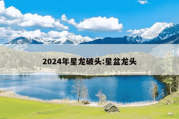 2024年星龙破头:星盆龙头