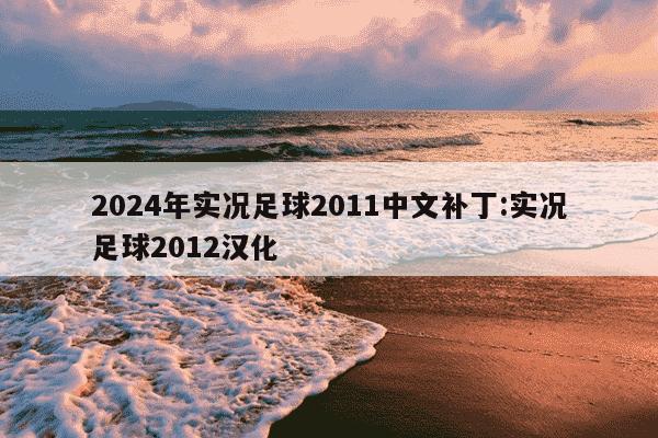 2024年实况足球2011中文补丁:实况足球2012汉化