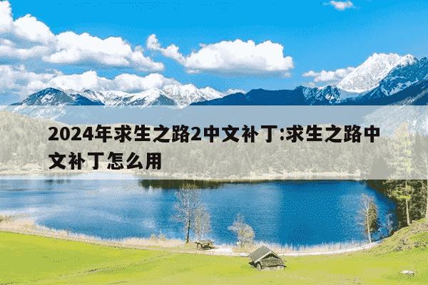 2024年求生之路2中文补丁:求生之路中文补丁怎么用