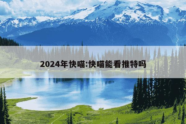 2024年快喵:快喵能看推特吗