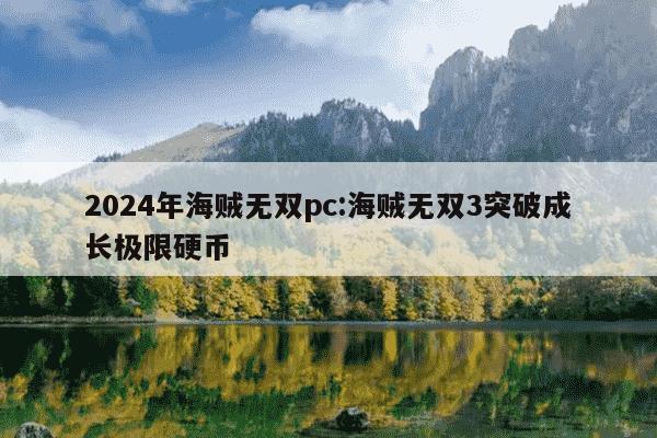 2024年海贼无双pc:海贼无双3突破成长极限硬币