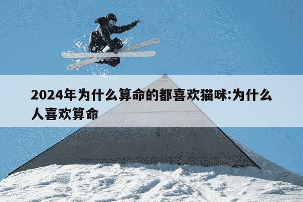 2024年为什么算命的都喜欢猫咪:为什么人喜欢算命