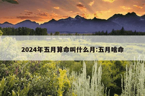 2024年五月算命叫什么月:五月啥命