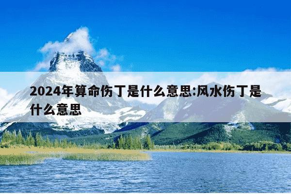 2024年算命伤丁是什么意思:风水伤丁是什么意思