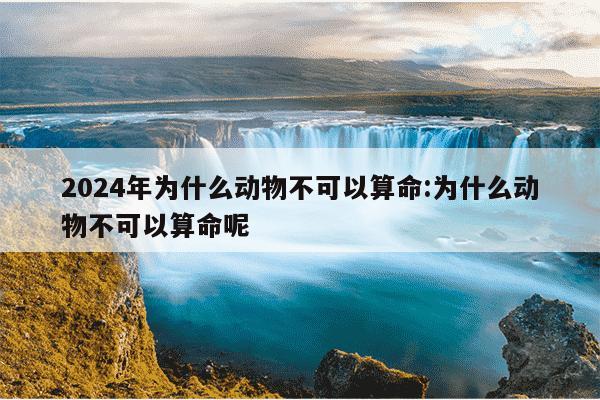 2024年为什么动物不可以算命:为什么动物不可以算命呢