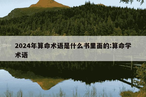 2024年算命术语是什么书里面的:算命学术语