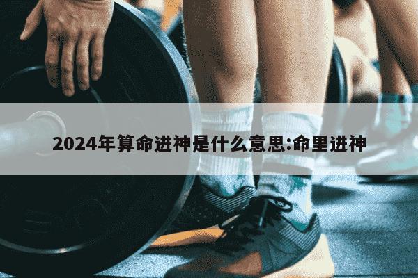 2024年算命进神是什么意思:命里进神