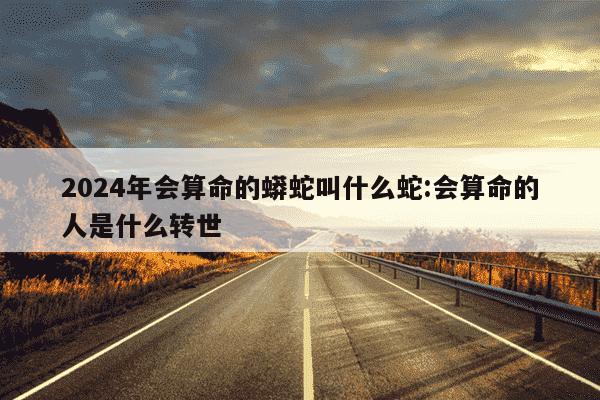 2024年会算命的蟒蛇叫什么蛇:会算命的人是什么转世