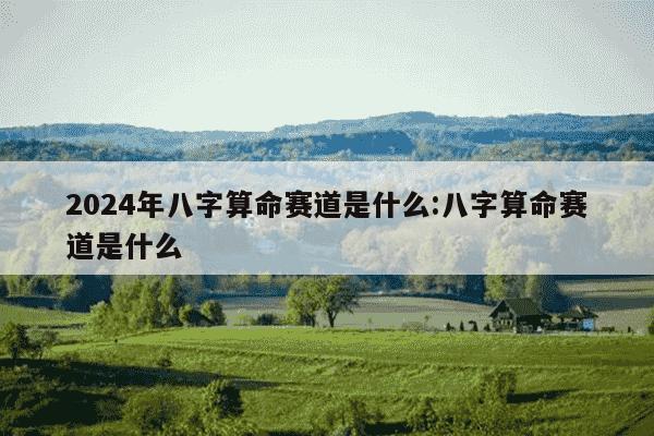 2024年八字算命赛道是什么:八字算命赛道是什么