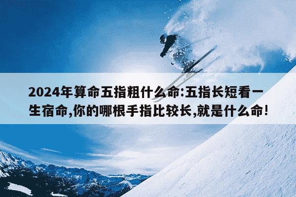 2024年算命五指粗什么命:五指长短看一生宿命,你的哪根手指比较长,就是什么命!