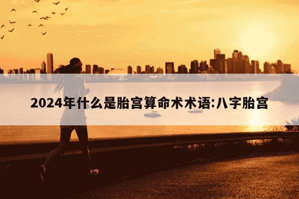 2024年什么是胎宫算命术术语:八字胎宫