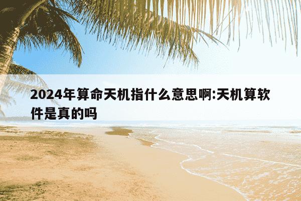 2024年算命天机指什么意思啊:天机算软件是真的吗