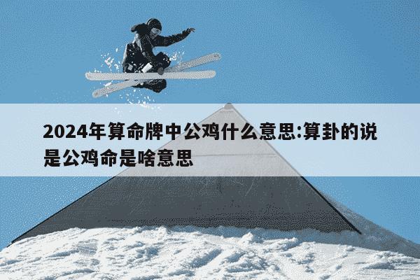 2024年算命牌中公鸡什么意思:算卦的说是公鸡命是啥意思