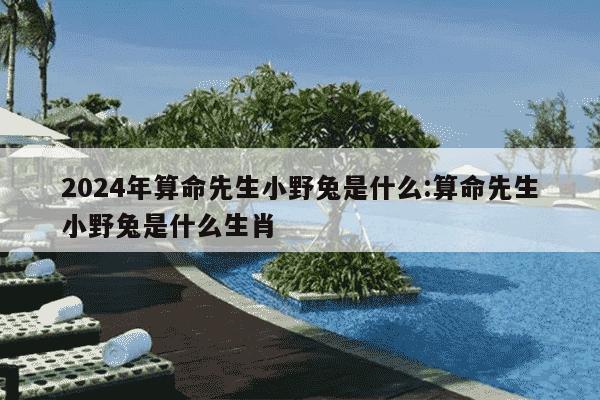 2024年算命先生小野兔是什么:算命先生小野兔是什么生肖