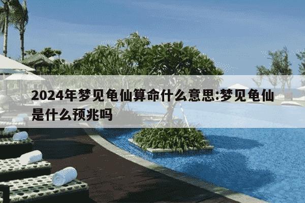 2024年梦见龟仙算命什么意思:梦见龟仙是什么预兆吗