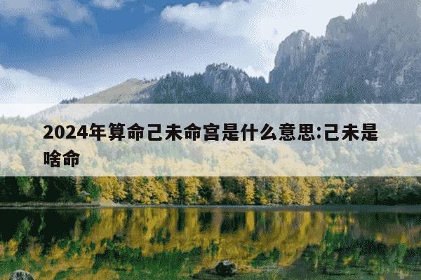 2024年算命己未命宫是什么意思:己未是啥命