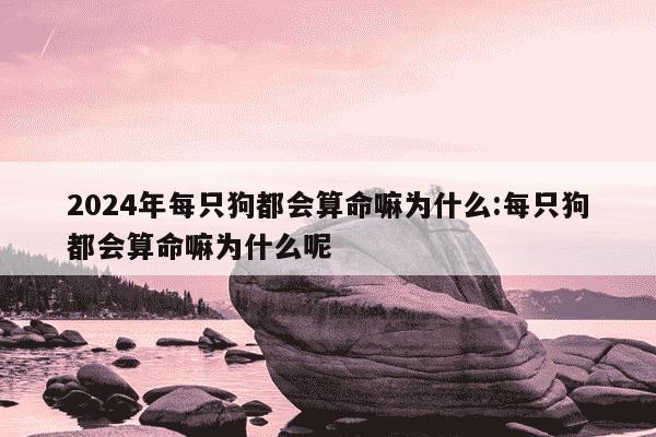 2024年每只狗都会算命嘛为什么:每只狗都会算命嘛为什么呢