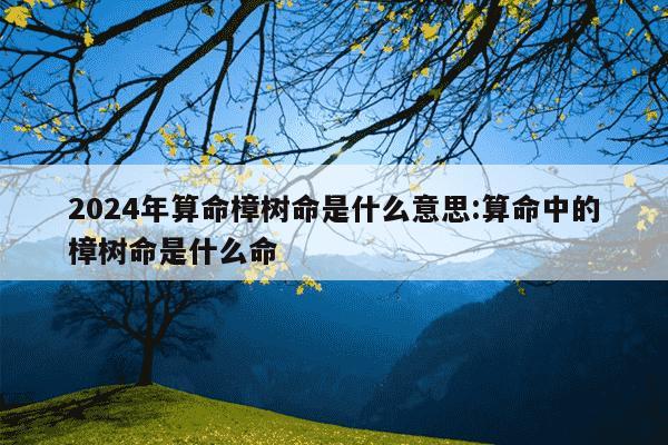 2024年算命樟树命是什么意思:算命中的樟树命是什么命