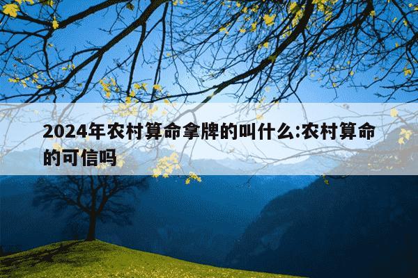 2024年农村算命拿牌的叫什么:农村算命的可信吗