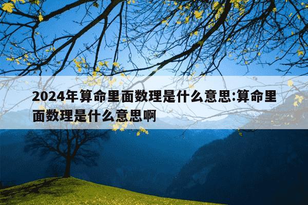 2024年算命里面数理是什么意思:算命里面数理是什么意思啊