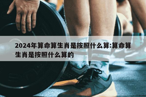 2024年算命算生肖是按照什么算:算命算生肖是按照什么算的