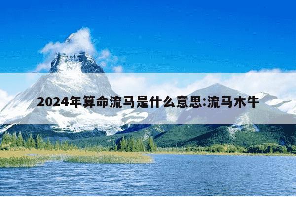 2024年算命流马是什么意思:流马木牛