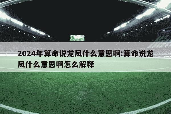 2024年算命说龙凤什么意思啊:算命说龙凤什么意思啊怎么解释